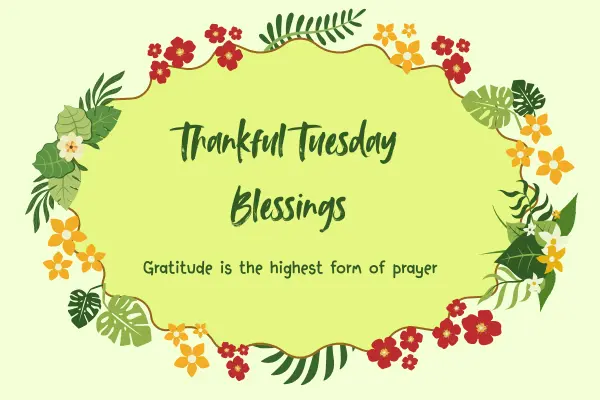 Thankful Tuesday Blessings