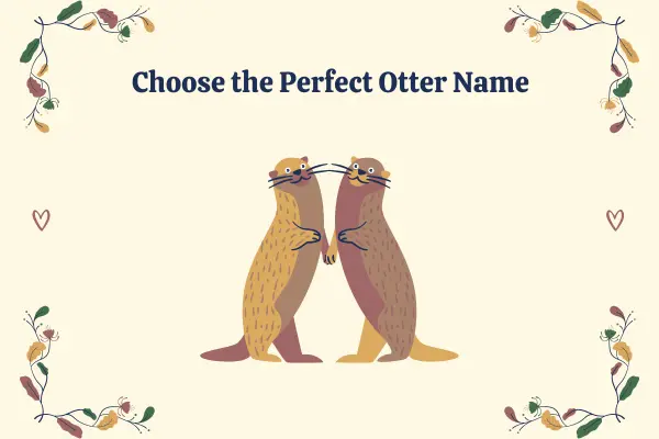 choose the perfect otter name