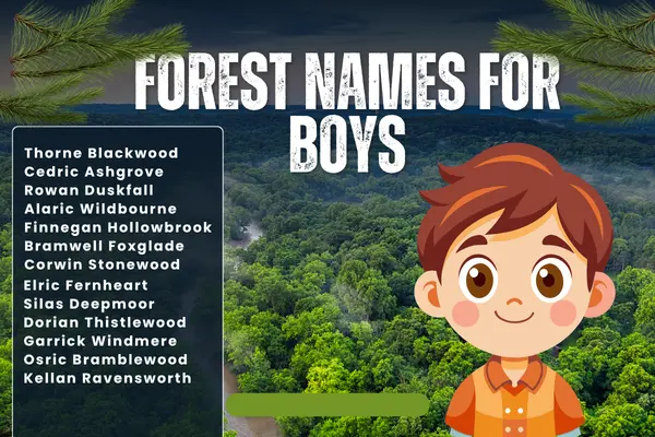 Forest Names for Boys