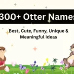 otter names