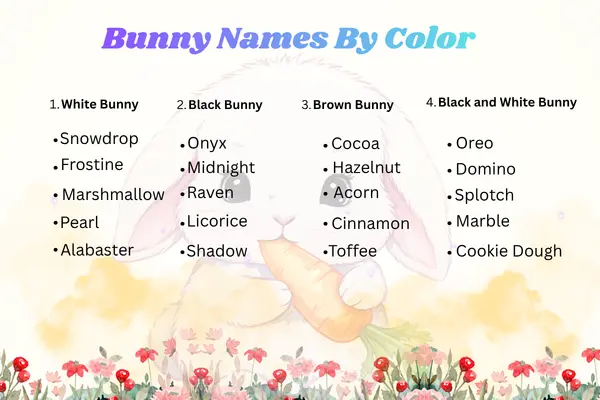 bunny names by color