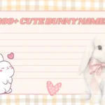 bunny names